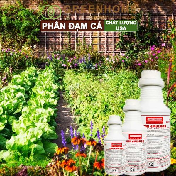 Phân đạm cá Mỹ, Fish Emulsion, đậm đặc, hữu cơ cho hoa hồng, rau sạch, cây cảnh, kiểng lá |Greenhome