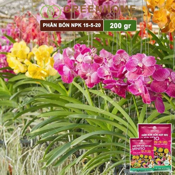 Phân NPK 15-5-20 Minro, bao 200gr, phân bón kích ra hoa, đậu trái, nuôi hoa, nuôi trái |Greenhome