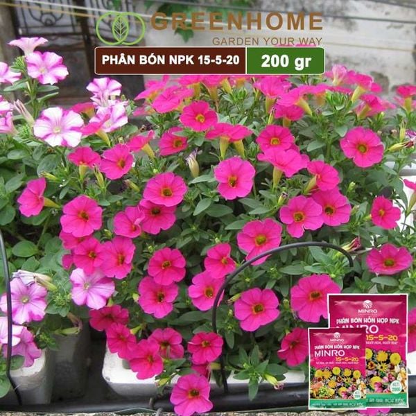 Phân NPK 15-5-20 Minro, bao 200gr, phân bón kích ra hoa, đậu trái, nuôi hoa, nuôi trái |Greenhome