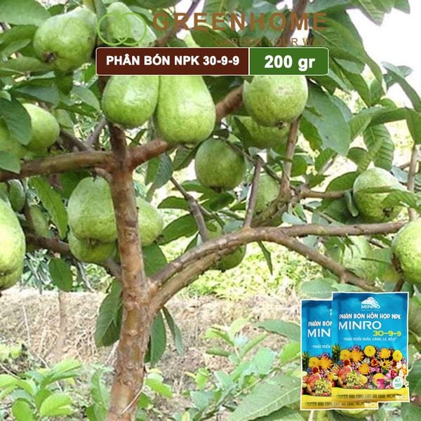 Phân NPK 30-9-9 Minro, bao 200gr, hỗ trợ phát triển nhanh thân, cành, lá, bộ rễ |Greenhome