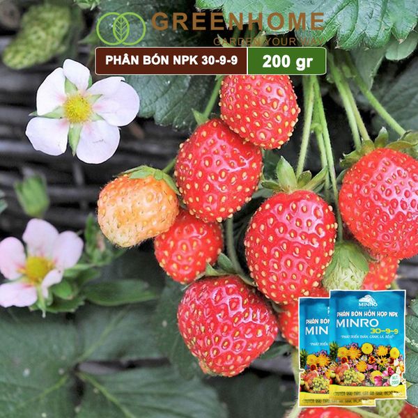 Phân NPK 30-9-9 Minro, bao 200gr, hỗ trợ phát triển nhanh thân, cành, lá, bộ rễ |Greenhome