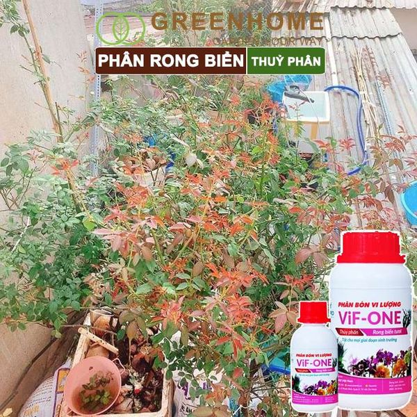 Phân bón lá Lavamix, rong biển, siêu kích rễ, mầm lá, hoa hồng, lan, các lại rau |Greenhome