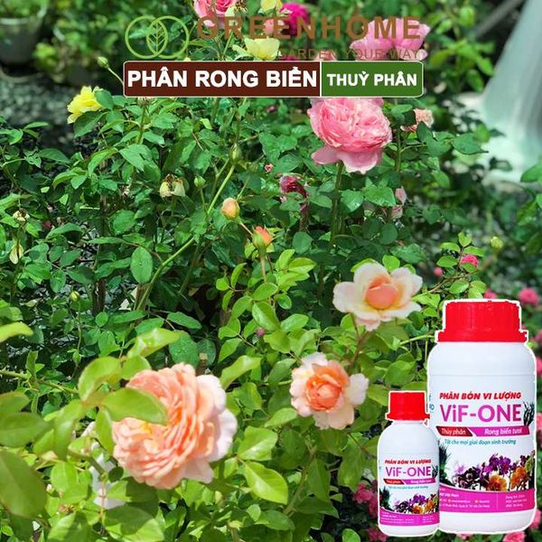 Phân bón lá Lavamix, rong biển, siêu kích rễ, mầm lá, hoa hồng, lan, các lại rau |Greenhome