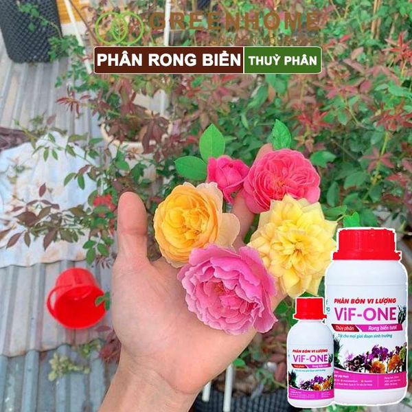 Phân bón lá Lavamix, rong biển, siêu kích rễ, mầm lá, hoa hồng, lan, các lại rau |Greenhome