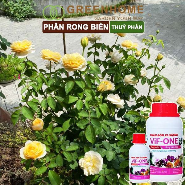 Phân bón lá Lavamix, rong biển, siêu kích rễ, mầm lá, hoa hồng, lan, các lại rau |Greenhome