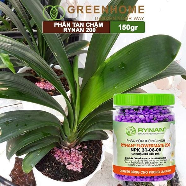 Phân tan chậm Rynan 200