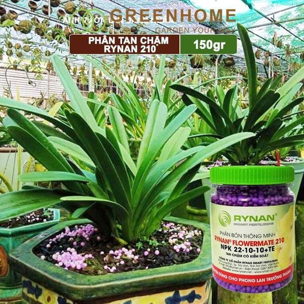 Phân tan chậm Rynan 210
