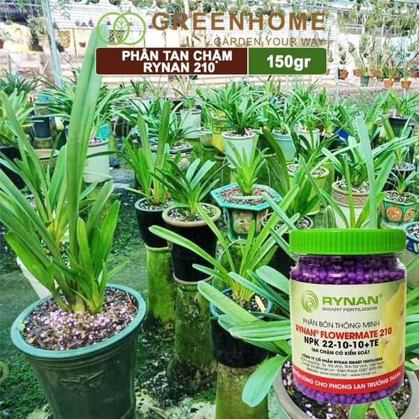 Phân tan chậm Rynan 210