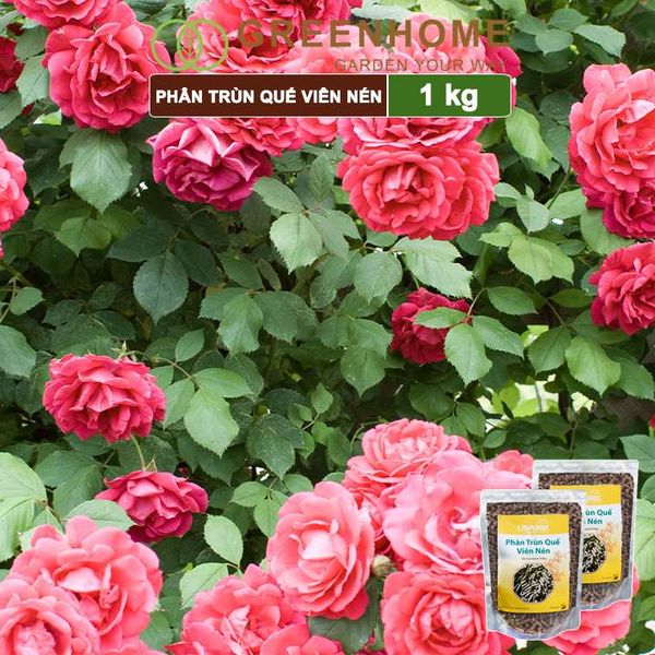 Phân trùn quế viên nén Lavamix, bao 1kg, nguyên chất bổ sung dinh dưỡng cho cây, hoa, cải tạo đất |Greenhome