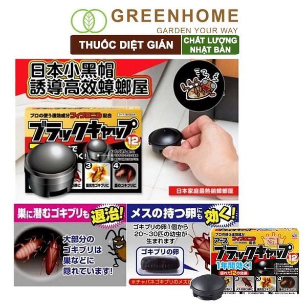 Thuốc diện gián Barracks Cap, hộp 12 viên, diệt tận gốc, dễ sử dụng, tác dụng lâu dài, an toàn