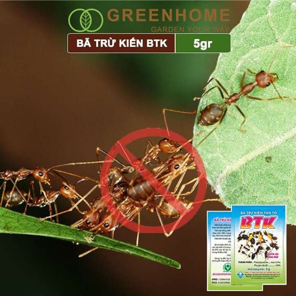 Thuốc diện kiến tận ổ BTK, gói 5gr, hiệu quả cao, dễ sử dụng, tác dụng lâu dài