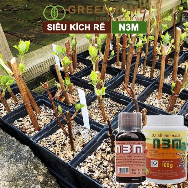 Thuốc kích rễ N3M, hũ 100gr, siêu ra rễ, giâm, chiết cành, ngâm hạt giống |Greenhome