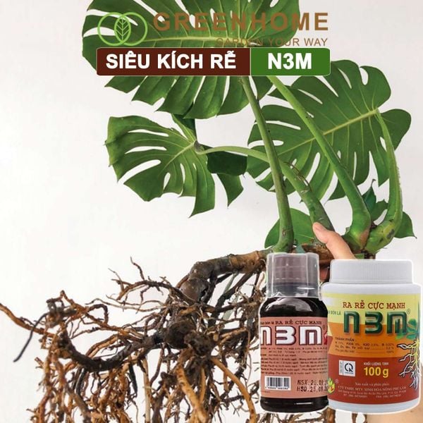 Thuốc kích rễ N3M, hũ 100gr, siêu ra rễ, giâm, chiết cành, ngâm hạt giống |Greenhome