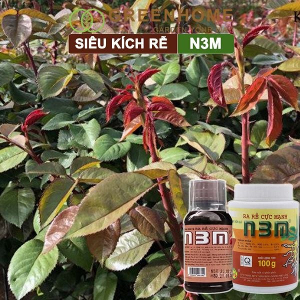 Thuốc kích rễ N3M, hũ 100gr, siêu ra rễ, giâm, chiết cành, ngâm hạt giống |Greenhome
