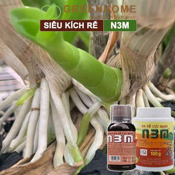 Thuốc kích rễ N3M, hũ 100gr, siêu ra rễ, giâm, chiết cành, ngâm hạt giống |Greenhome