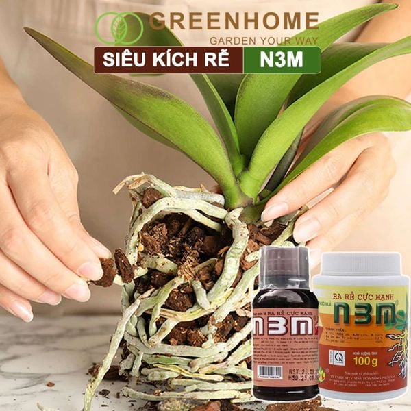 Thuốc kích rễ N3M, hũ 100gr, siêu ra rễ, giâm, chiết cành, ngâm hạt giống |Greenhome