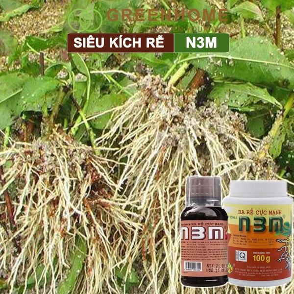 Thuốc kích rễ N3M, hũ 100gr, siêu ra rễ, giâm, chiết cành, ngâm hạt giống |Greenhome