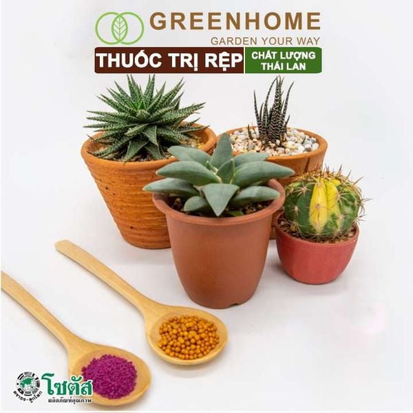 Thuốc tím trị rệp Starkle-G, lưu dẫn, an toàn, hiệu quả, dùng cho sen đá, xương rồng |Greenhome