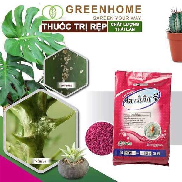 Thuốc tím trị rệp Starkle-G, lưu dẫn, an toàn, hiệu quả, dùng cho sen đá, xương rồng |Greenhome