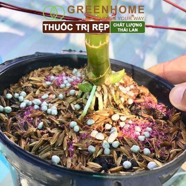 Thuốc tím trị rệp Starkle-G, lưu dẫn, an toàn, hiệu quả, dùng cho sen đá, xương rồng |Greenhome