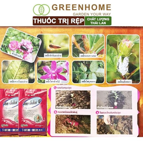 Thuốc tím trị rệp Starkle-G, lưu dẫn, an toàn, hiệu quả, dùng cho sen đá, xương rồng |Greenhome