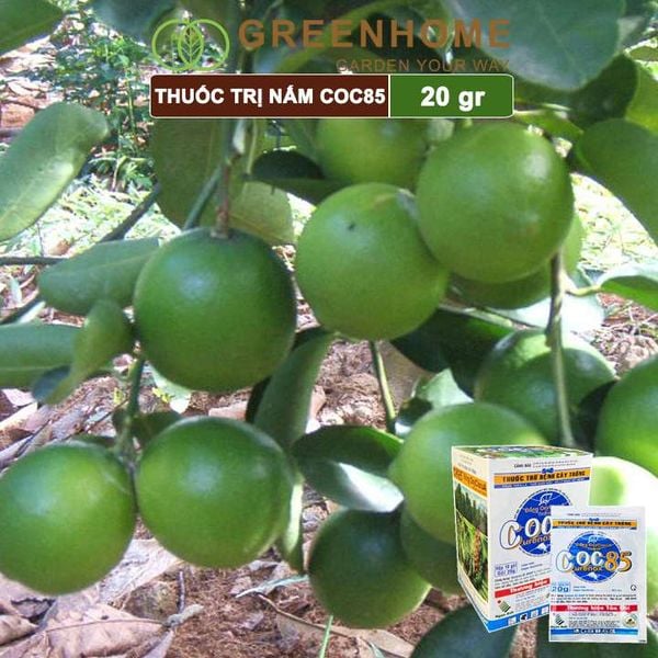 Thuốc trị nấm Coc85 WP, gói 20g ,trừ thán thư, cháy lá, vàng lá, đốm lá cho hoa hồng, kiểng lá |Greenhome