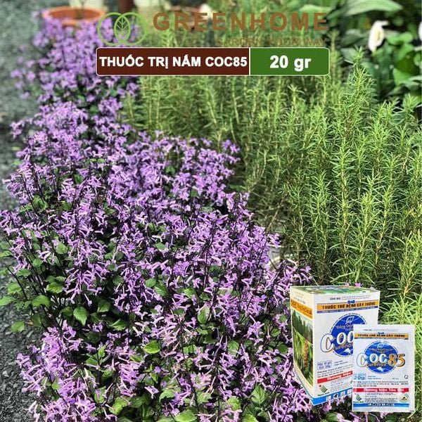 Thuốc trị nấm Coc85 WP, gói 20g ,trừ thán thư, cháy lá, vàng lá, đốm lá cho hoa hồng, kiểng lá |Greenhome
