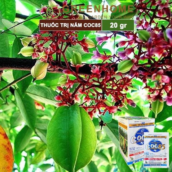 Thuốc trị nấm Coc85 WP, gói 20g ,trừ thán thư, cháy lá, vàng lá, đốm lá cho hoa hồng, kiểng lá |Greenhome