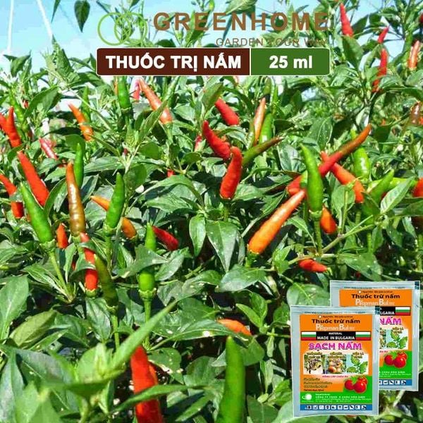 Thuốc trừ nấm Propman Bul 550sc, gói 25ml, chuyên trị Thán thư, thối nhũn, phấn trắng, rỉ sắt |Greenhome