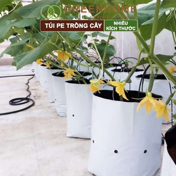 Túi PE trồng cây, 2 lớp, nhiều kích thước, chống UV tiện lợi, độ bền 1,5 năm, trồng rau, hoa, dâu tây |Greenhome