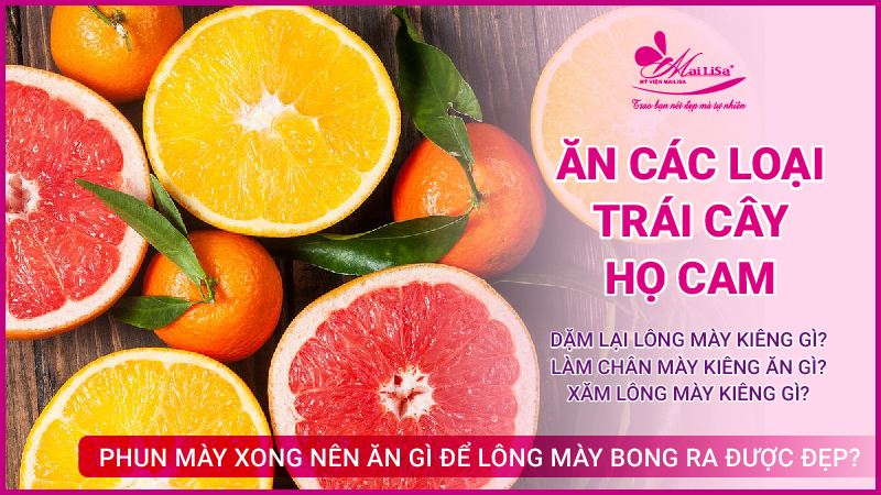 Xăm lông mày kiêng gì để mày lên màu chuẩn đẹp mà bạn cần biết năm 2022 Bôi thuốc mỡ gì sau khi phun lông mày