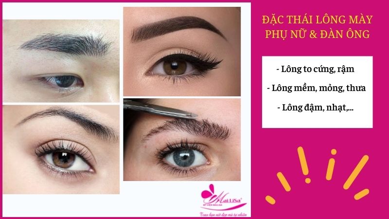 Cách xem tướng lông mày nam nữ nhanh và đúng, có nên sửa lại lông mày để hợp phong thủy không? tướng chân mày