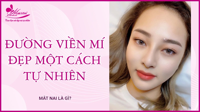 Mắt nai là gì? Tướng số người mắt nai sẽ như thế nào Đường nét đẹp tự nhiên