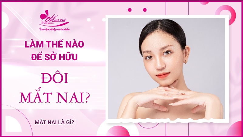 Mắt nai là gì? Tướng số người mắt nai sẽ như thế nào Làm thế nào để sở hữu mắt nai
