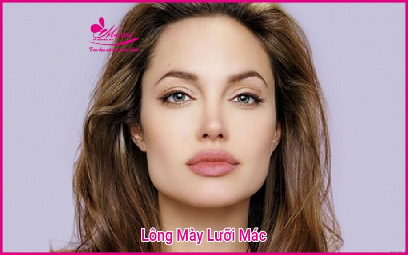 Cách chọn màu lông mày đẹp phù hợp với làn da 2022 lông mày màu nâu socola