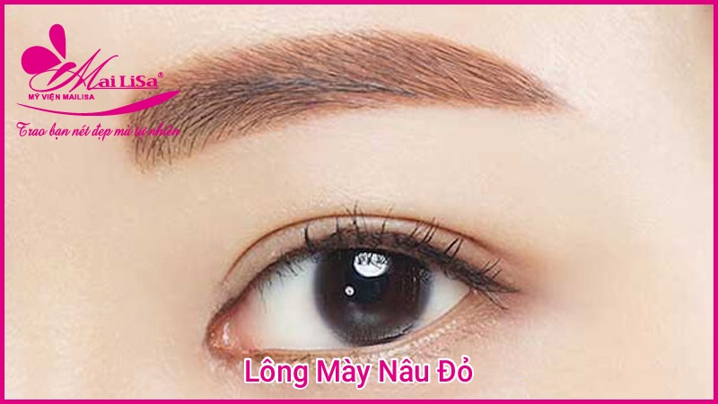 Cách chọn màu lông mày đẹp phù hợp với làn da 2022 phun chân mày màu nâu đỏ