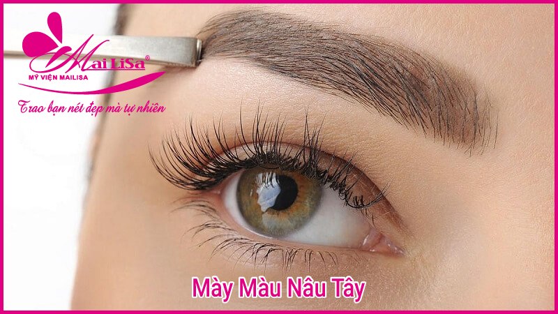 Cách chọn màu lông mày đẹp phù hợp với làn da 2022 phun chân mày màu nâu tây