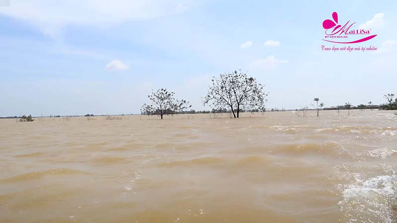 TGĐ Mailisa cùng anh Hoàng Kim Khánh ra tận nơi vùng ngập lụt cứu trợ đồng bào miền Trung TGĐ Mailisa cùng anh Hoàng Kim Khánh ra tận nơi vùng ngập lụt cứu trợ đồng bào miền Trung