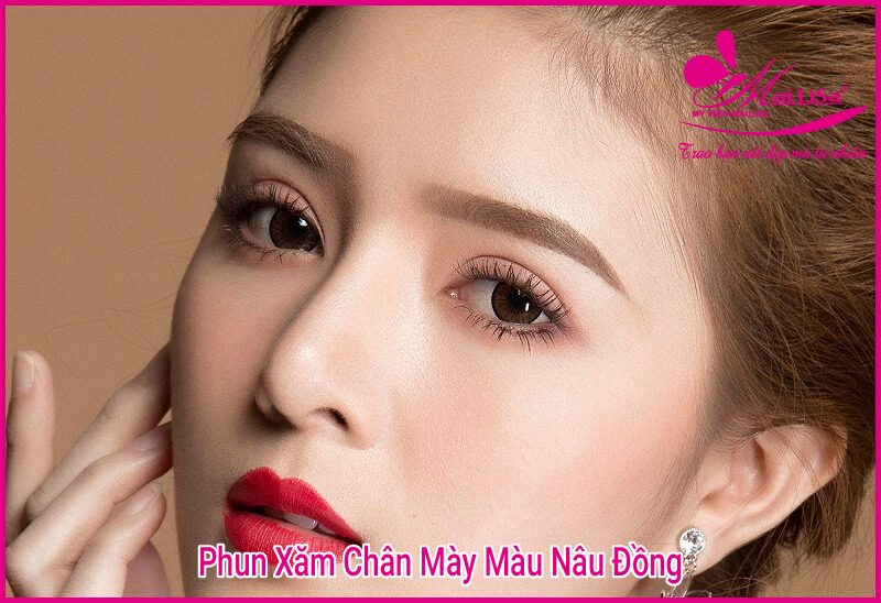 Cách chọn màu lông mày đẹp phù hợp với làn da 2022 lông mày màu đồng