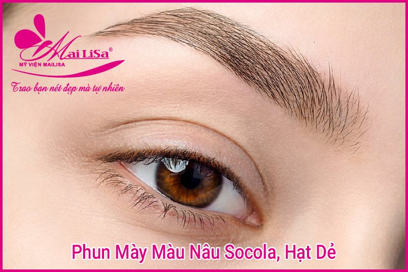 Cách chọn màu lông mày đẹp phù hợp với làn da 2022 lông mày màu socola