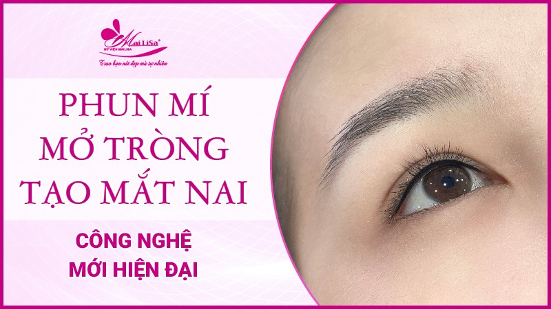 Mắt nai là gì? Tướng số người mắt nai sẽ như thế nào Phun mí công nghệ mới hiện đại