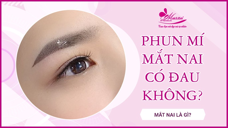 Mắt nai là gì? Tướng số người mắt nai sẽ như thế nào Phun mí có đâu không