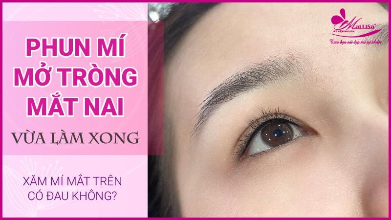 Phun mí mắt có đau không? Những lưu ý cần biết khi phun mí mắt phun mí mắt có hại không