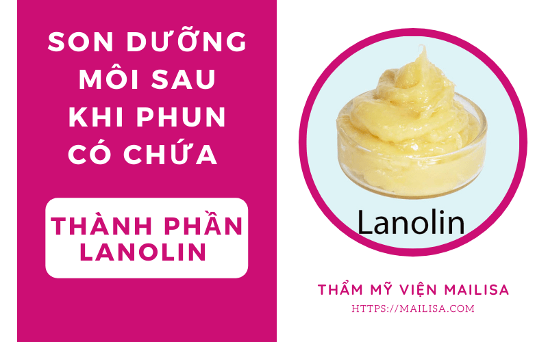TOP Son dưỡng son dưỡng dành cho môi xăm phun giúp lên màu 2021 son dưỡng lanolin