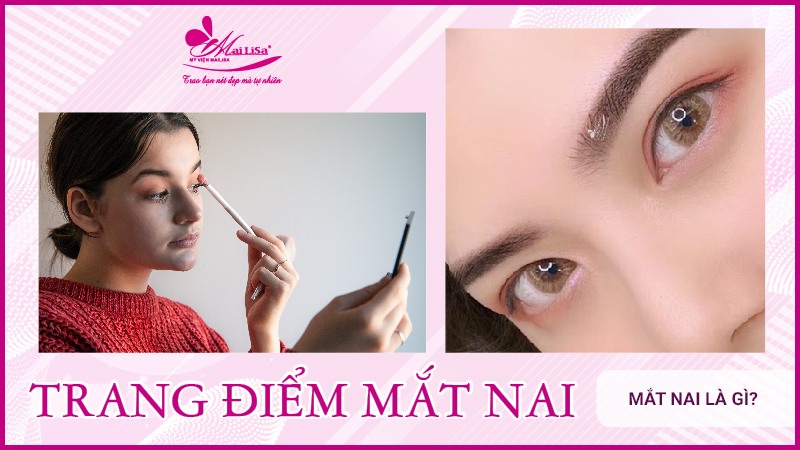 Mắt nai là gì? Tướng số người mắt nai sẽ như thế nào Trang điểm mắt nai