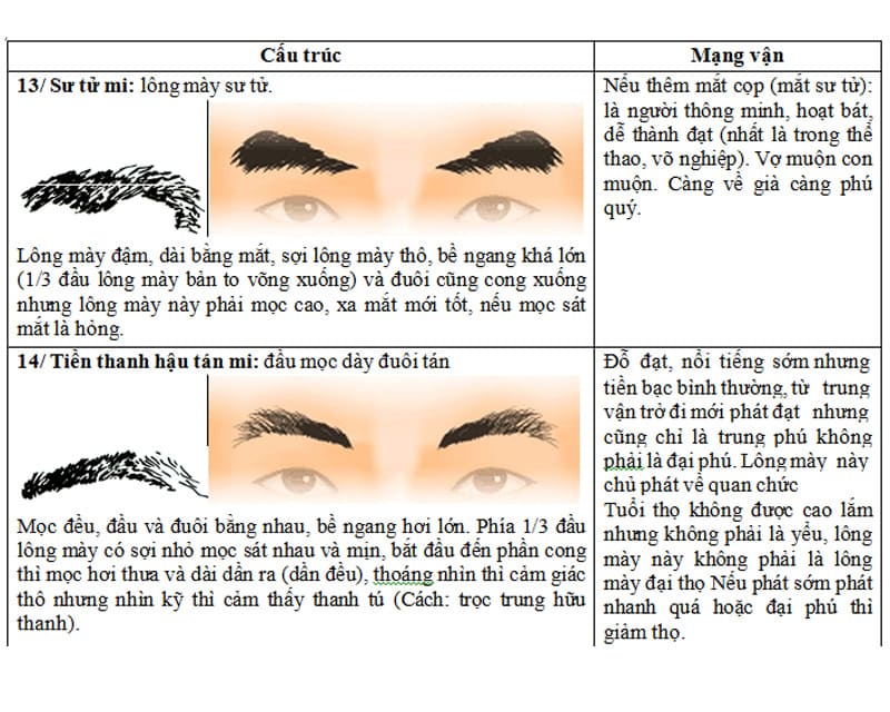 Cách xem tướng lông mày nam nữ nhanh và đúng, có nên sửa lại lông mày để hợp phong thủy không? chân mày tướng