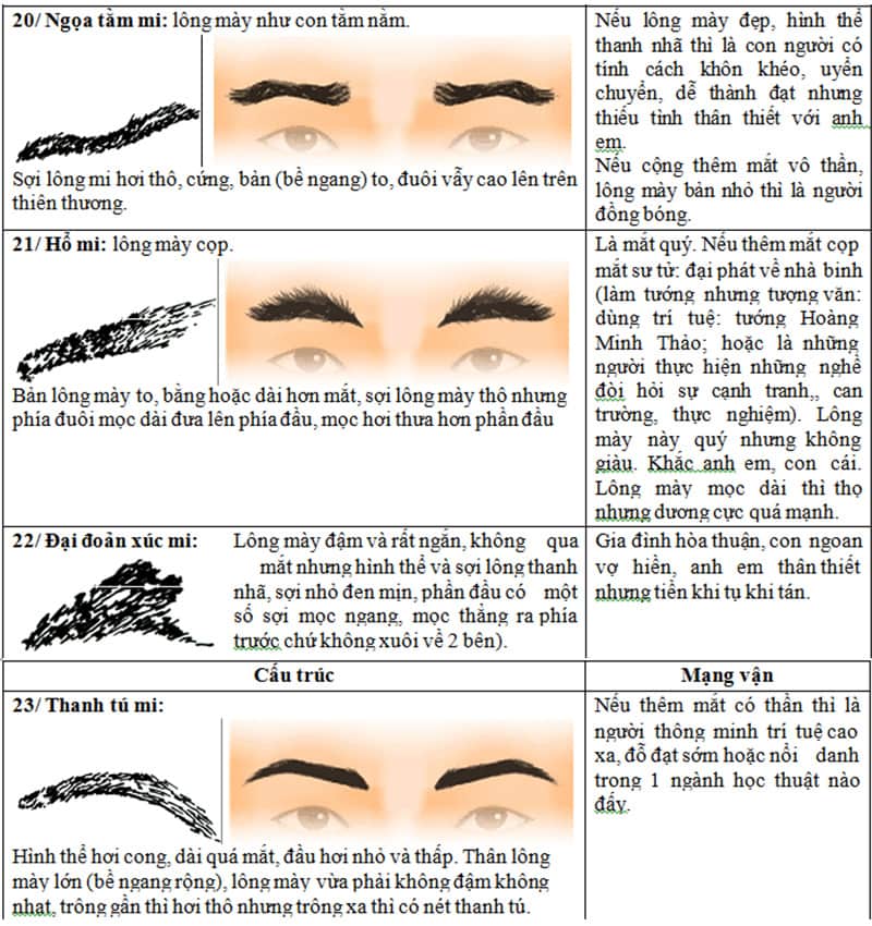 Cách xem tướng lông mày nam nữ nhanh và đúng, có nên sửa lại lông mày để hợp phong thủy không? các dáng chân mày