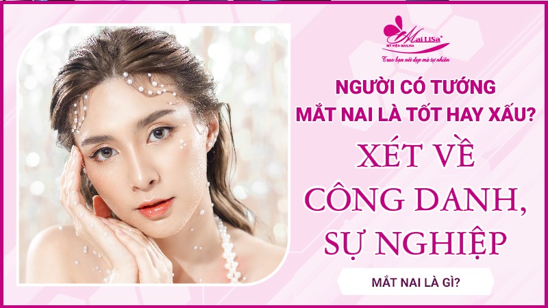 Mắt nai là gì? Tướng số người mắt nai sẽ như thế nào Xét về công danh sự nghiệp