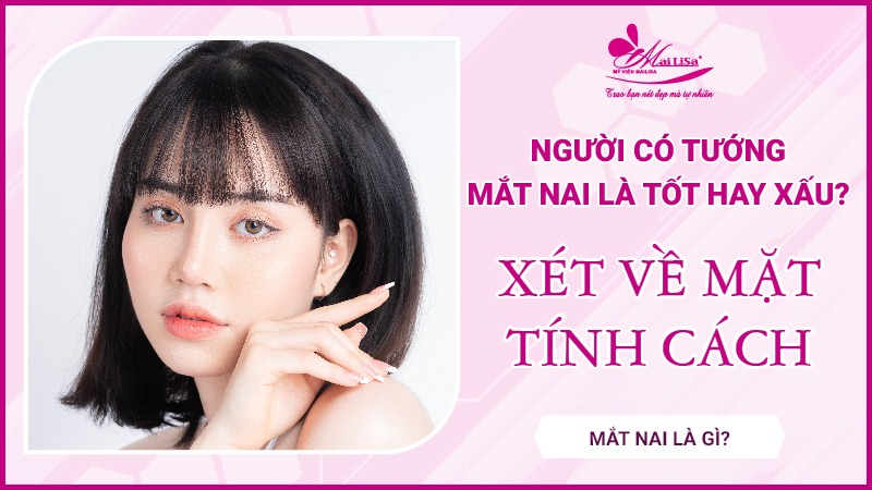 Mắt nai là gì? Tướng số người mắt nai sẽ như thế nào Xét về mặt tính cách