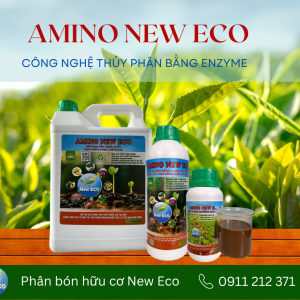 Amino NEWECO